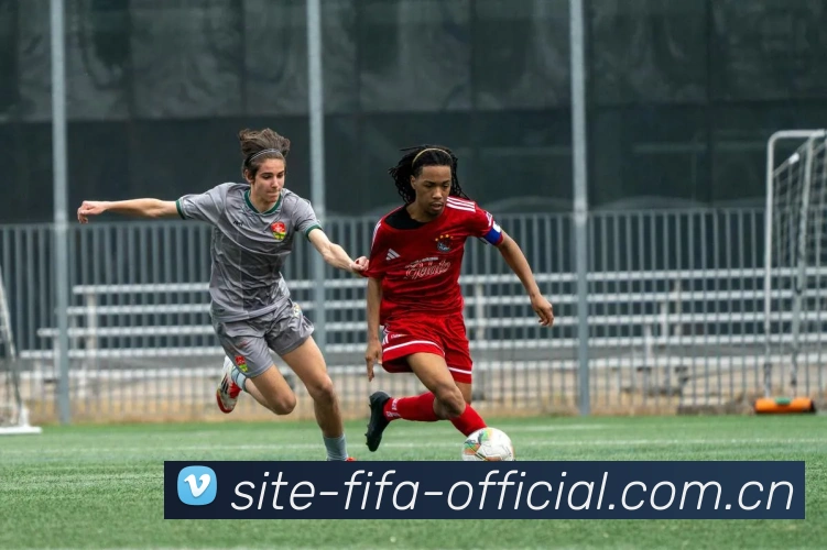 FIFA官方数据授权证书